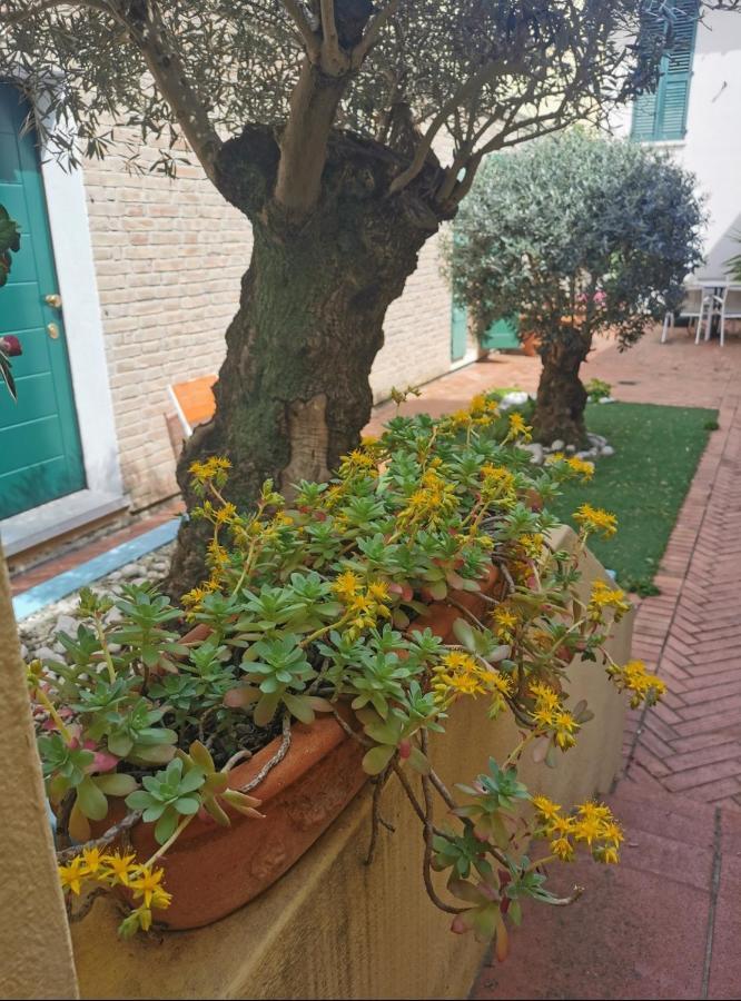 B&B La Chicca Ravenna Dış mekan fotoğraf