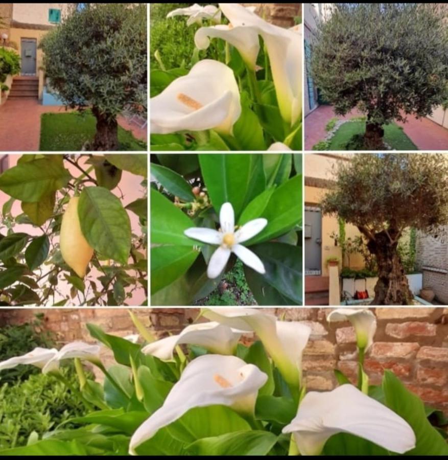 B&B La Chicca Ravenna Dış mekan fotoğraf
